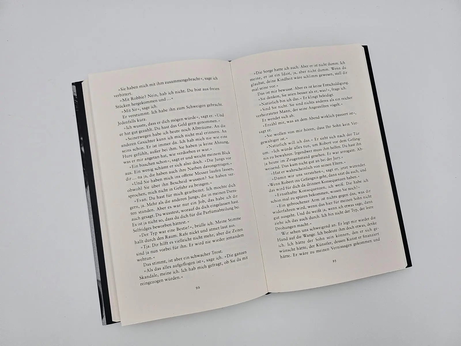 Bild: 9783492073929 | Erde | Roman Das große Erzählprojekt des irischen Bestsellerautors