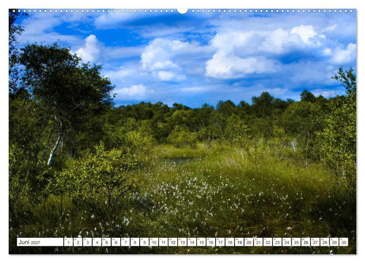 Bild: 9783569843929 | Osterholz-Scharmbeck, Natur-Impressionen aus dem Teufelsmoor...