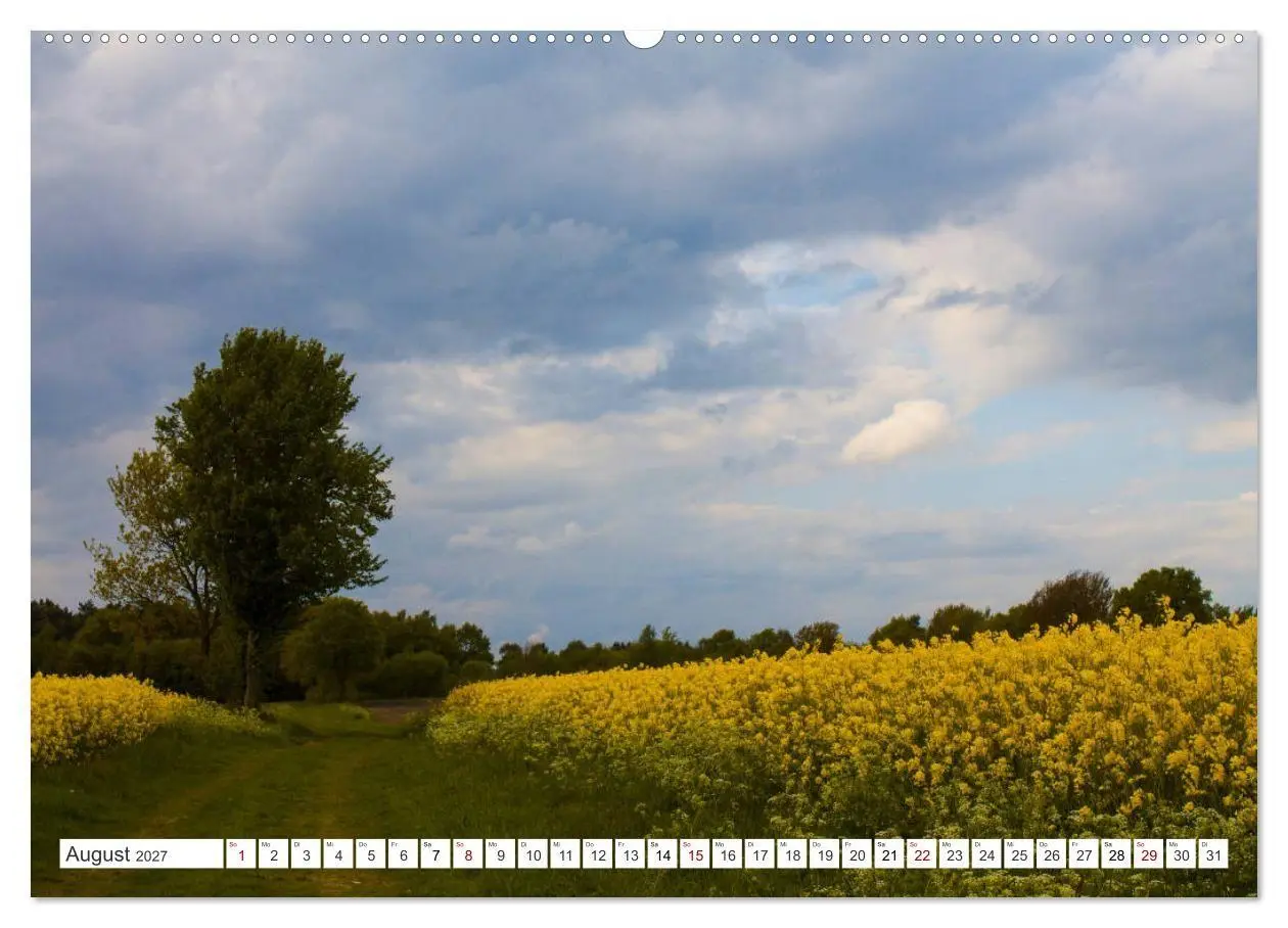 Bild: 9783569843929 | Osterholz-Scharmbeck, Natur-Impressionen aus dem Teufelsmoor...