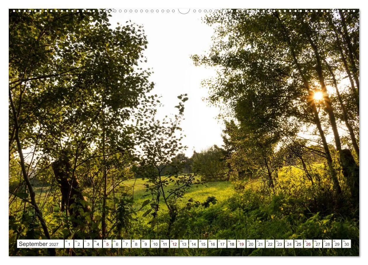 Bild: 9783569843929 | Osterholz-Scharmbeck, Natur-Impressionen aus dem Teufelsmoor...