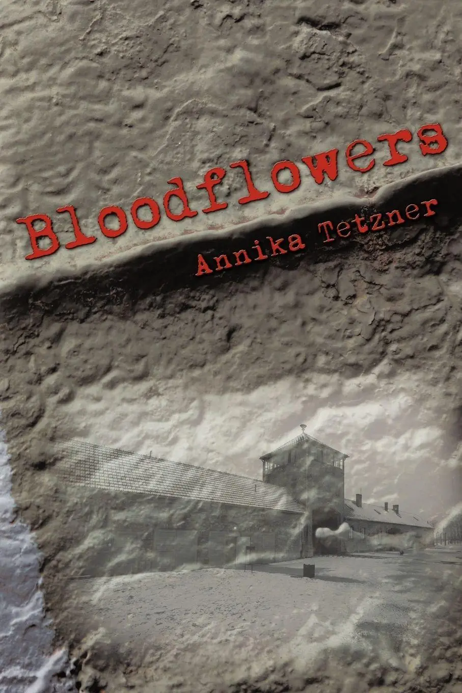 Cover: 9781438944029 | Bloodflowers | Annika Tetzner | Taschenbuch | Kartoniert / Broschiert