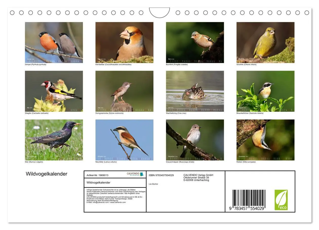 Bild: 9783457554029 | Wildvogelkalender (Wandkalender 2026 DIN A4 quer), CALVENDO...