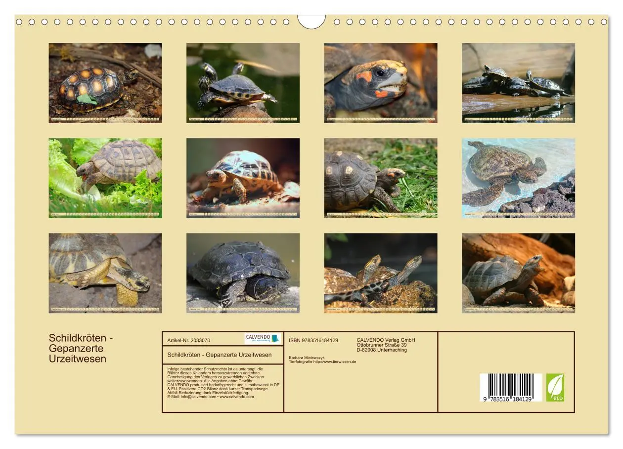 Bild: 9783516184129 | Schildkröten - Gepanzerte Urzeitwesen (Wandkalender 2026 DIN A3...