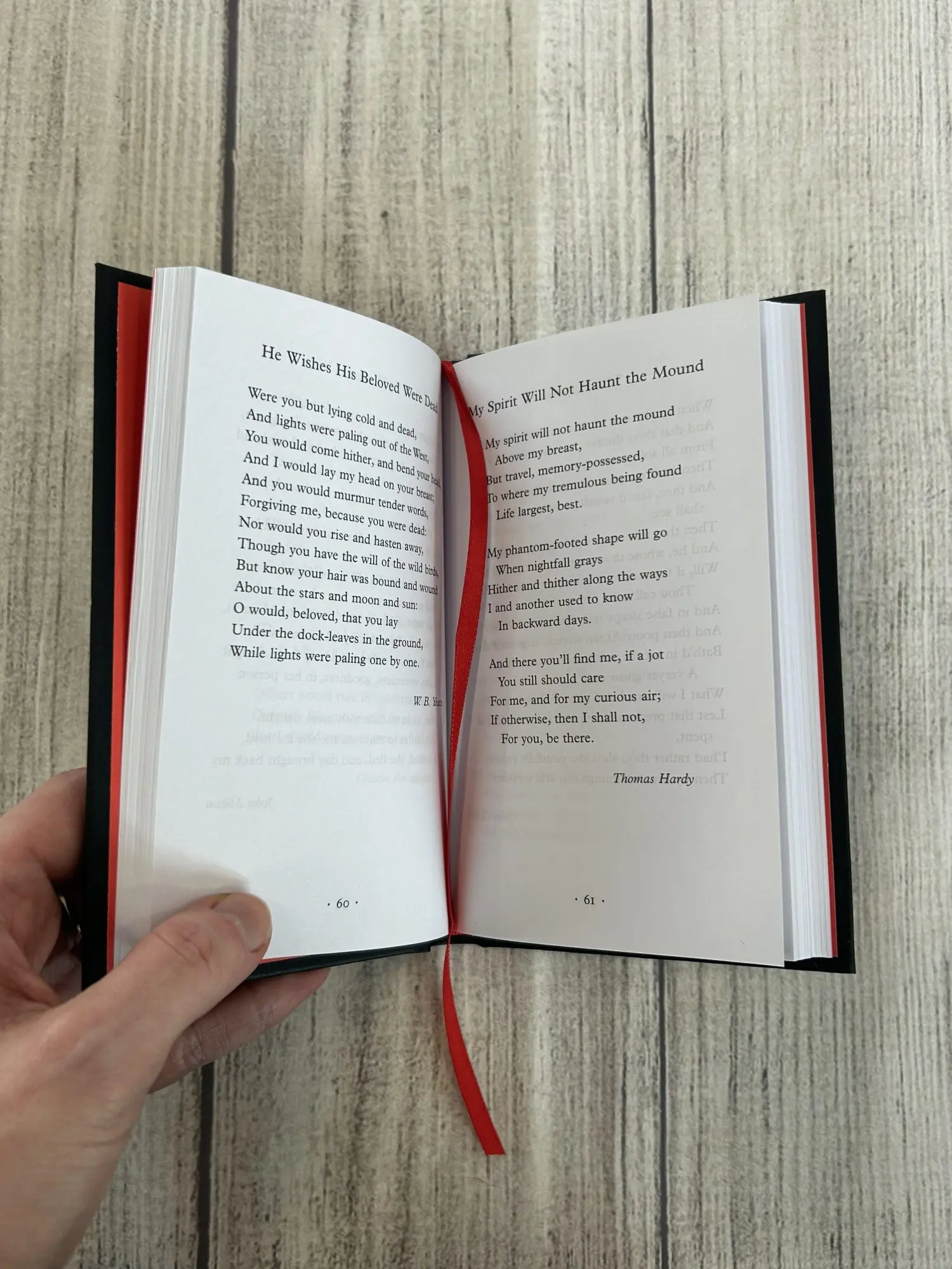 Bild: 9781035064229 | Poems to Sink Your Teeth Into | Charlie Castelletti | Buch | 202 S.