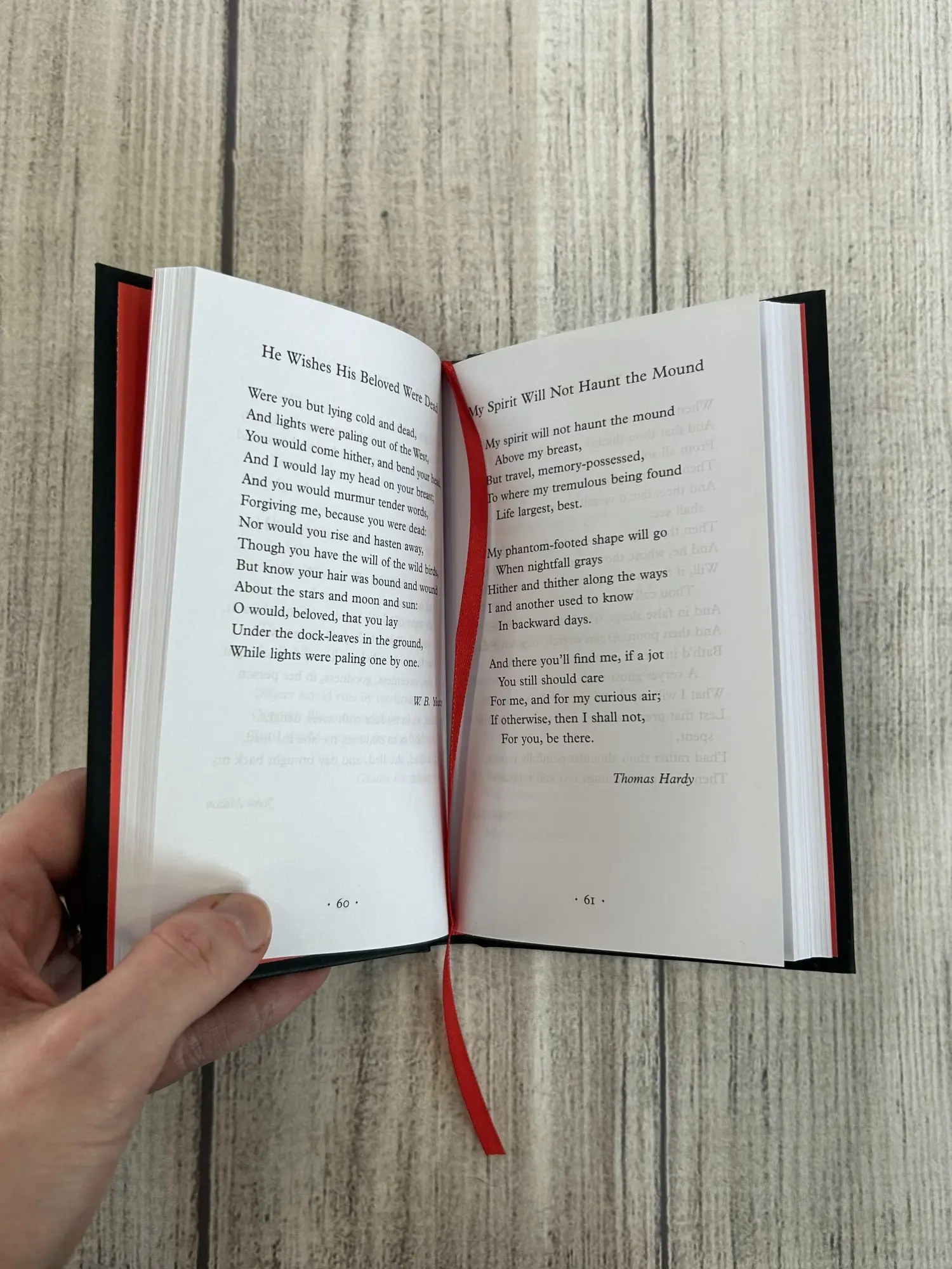 Bild: 9781035064229 | Poems to Sink Your Teeth Into | Charlie Castelletti | Buch | 202 S.