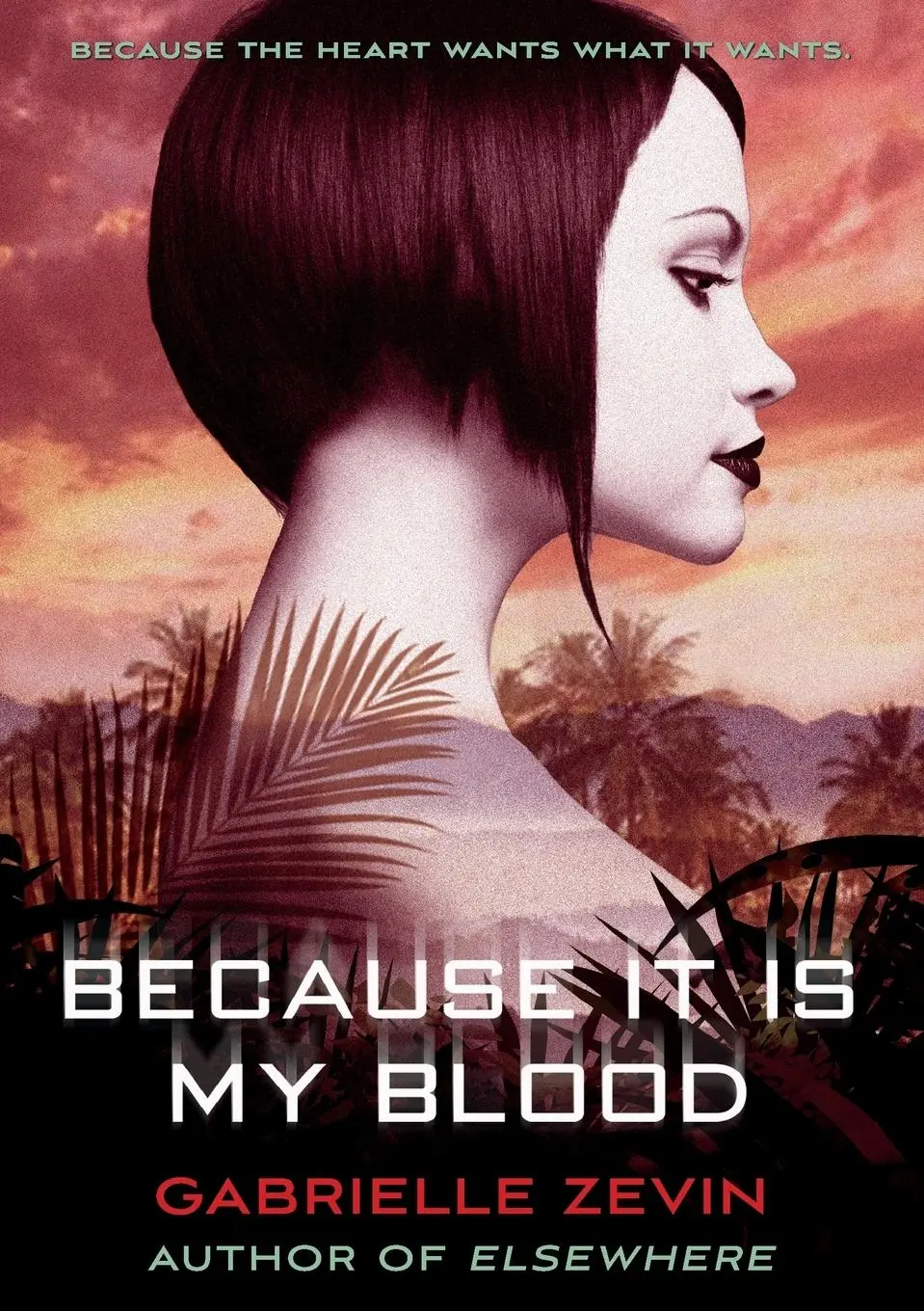 Cover: 9781250034229 | Because It Is My Blood | Gabrielle Zevin | Taschenbuch | Englisch