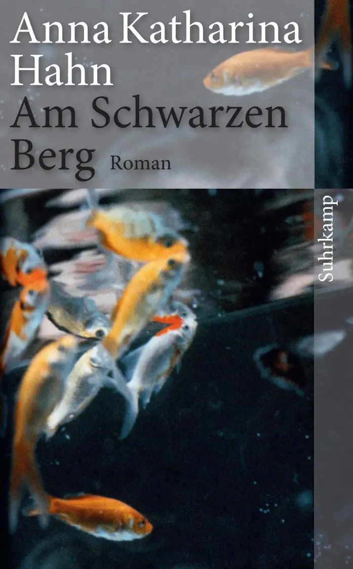 Cover: 9783518464229 | Am Schwarzen Berg | Anna Katharina Hahn | Taschenbuch | 236 S. | 2013