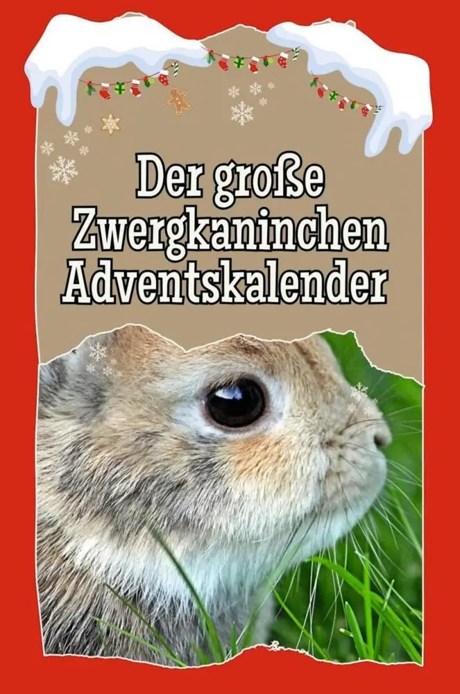 Cover: 9783759104229 | Der große Zwergkaninchen-Adventskalender | Jonas Neumann | Taschenbuch