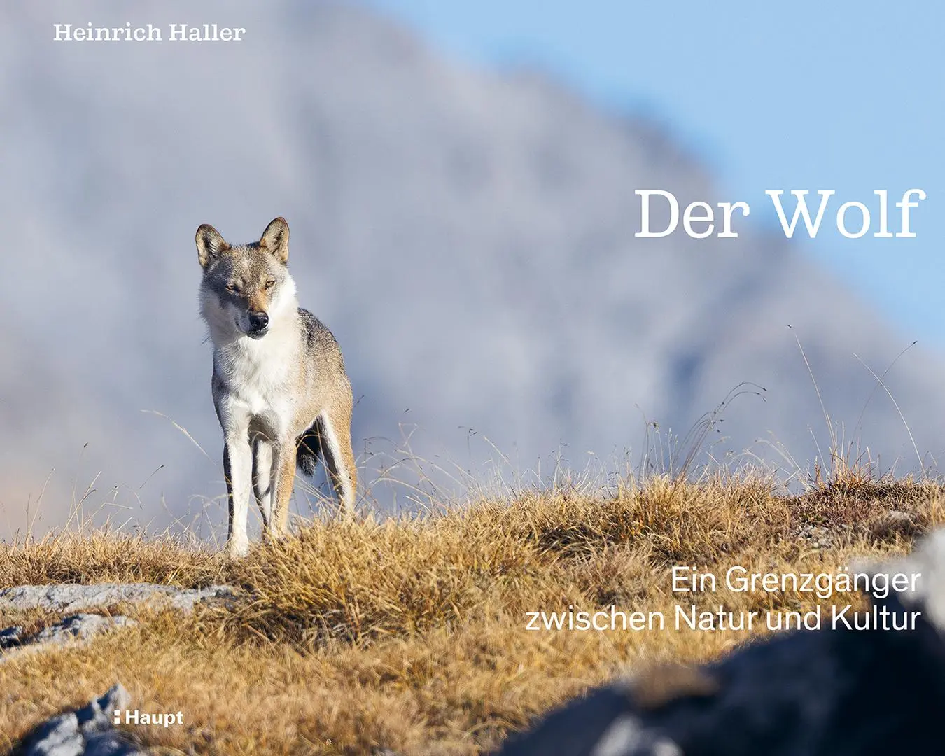 Cover: 9783258084329 | Der Wolf | Ein Grenzgänger zwischen Natur und Kultur | Heinrich Haller