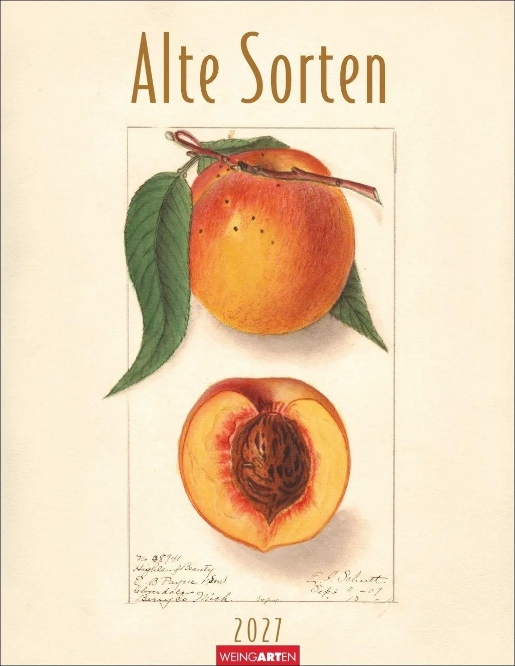 Cover: 9783839904329 | Alte Sorten Kalender 2027 | Kalender | 14 S. | Deutsch | 2027