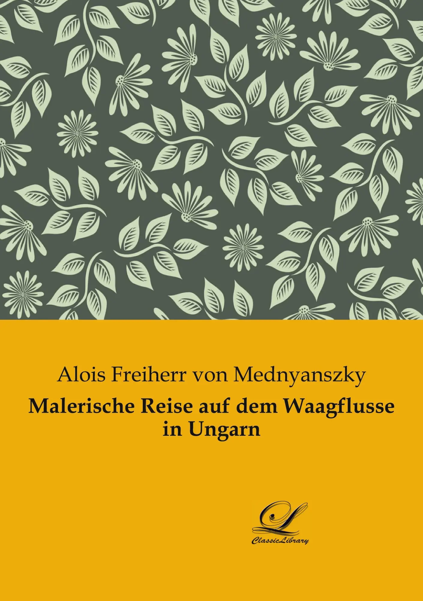 Cover: 9783961674329 | Malerische Reise auf dem Waagflusse in Ungarn | Mednyanszky | Buch