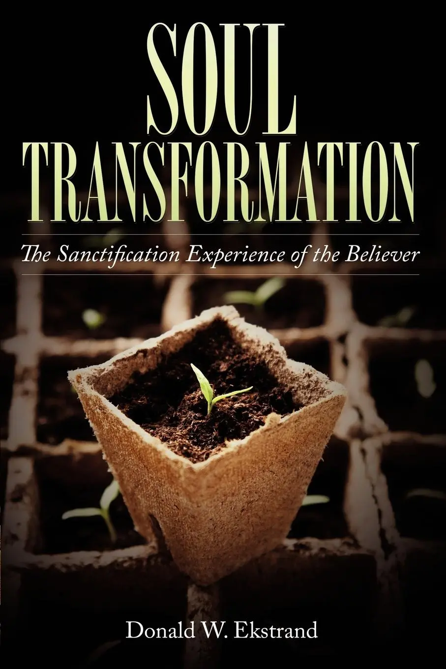 Cover: 9781624194429 | Soul Transformation | Donald W. Ekstrand | Taschenbuch | Englisch