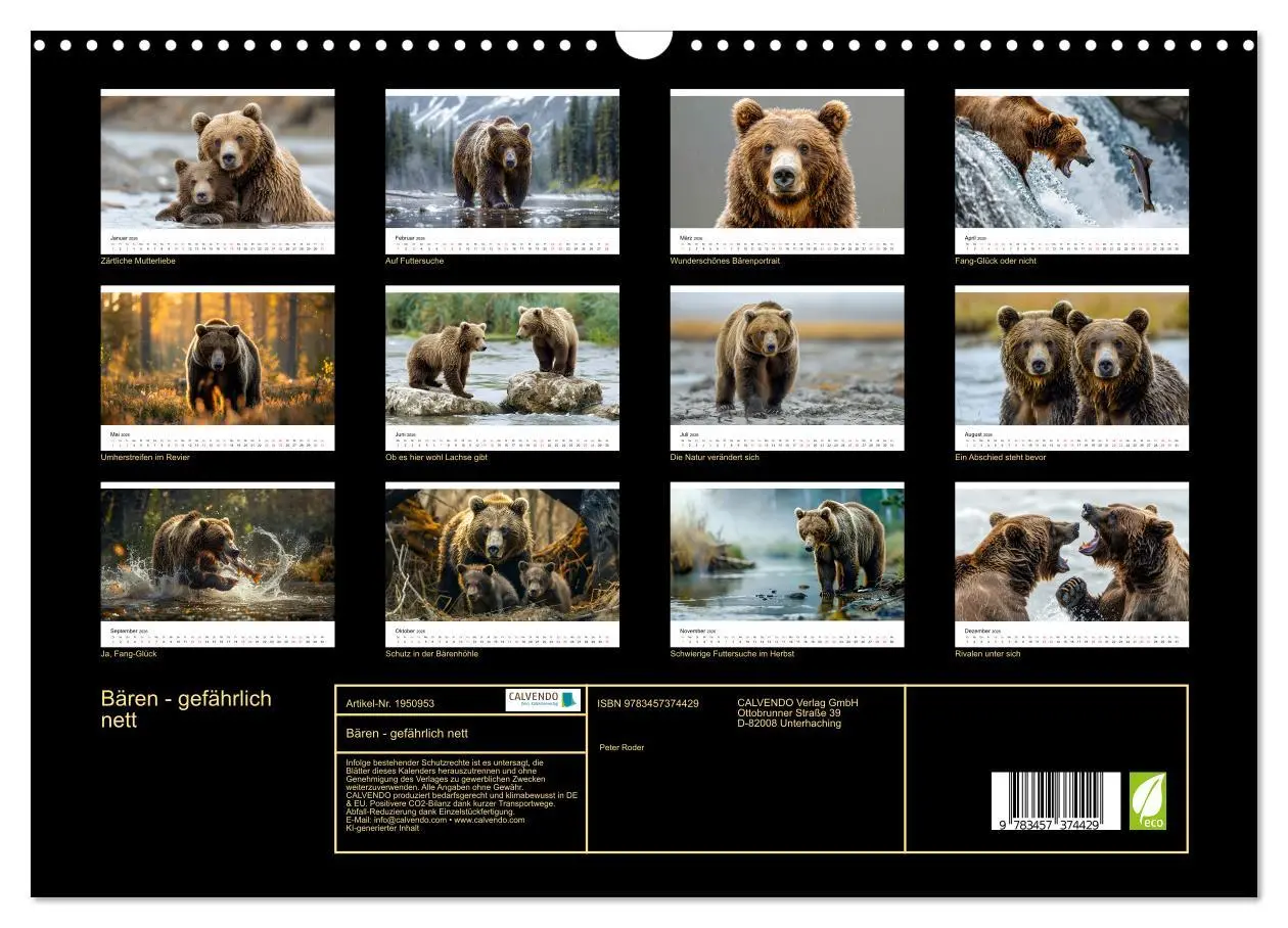 Bild: 9783457374429 | Bären - gefährlich nett (Wandkalender 2026 DIN A3 quer), CALVENDO...