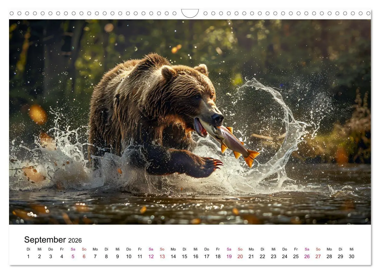 Bild: 9783457374429 | Bären - gefährlich nett (Wandkalender 2026 DIN A3 quer), CALVENDO...