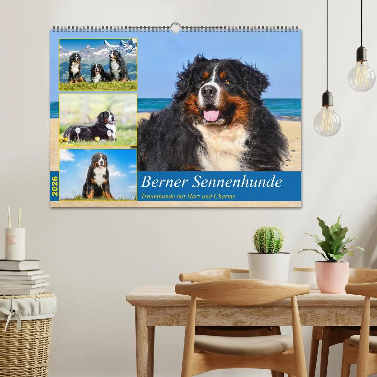 Bild: 9783457514429 | Berner Sennenhunde - Traumhunde mit Charme (Wandkalender 2026 DIN...