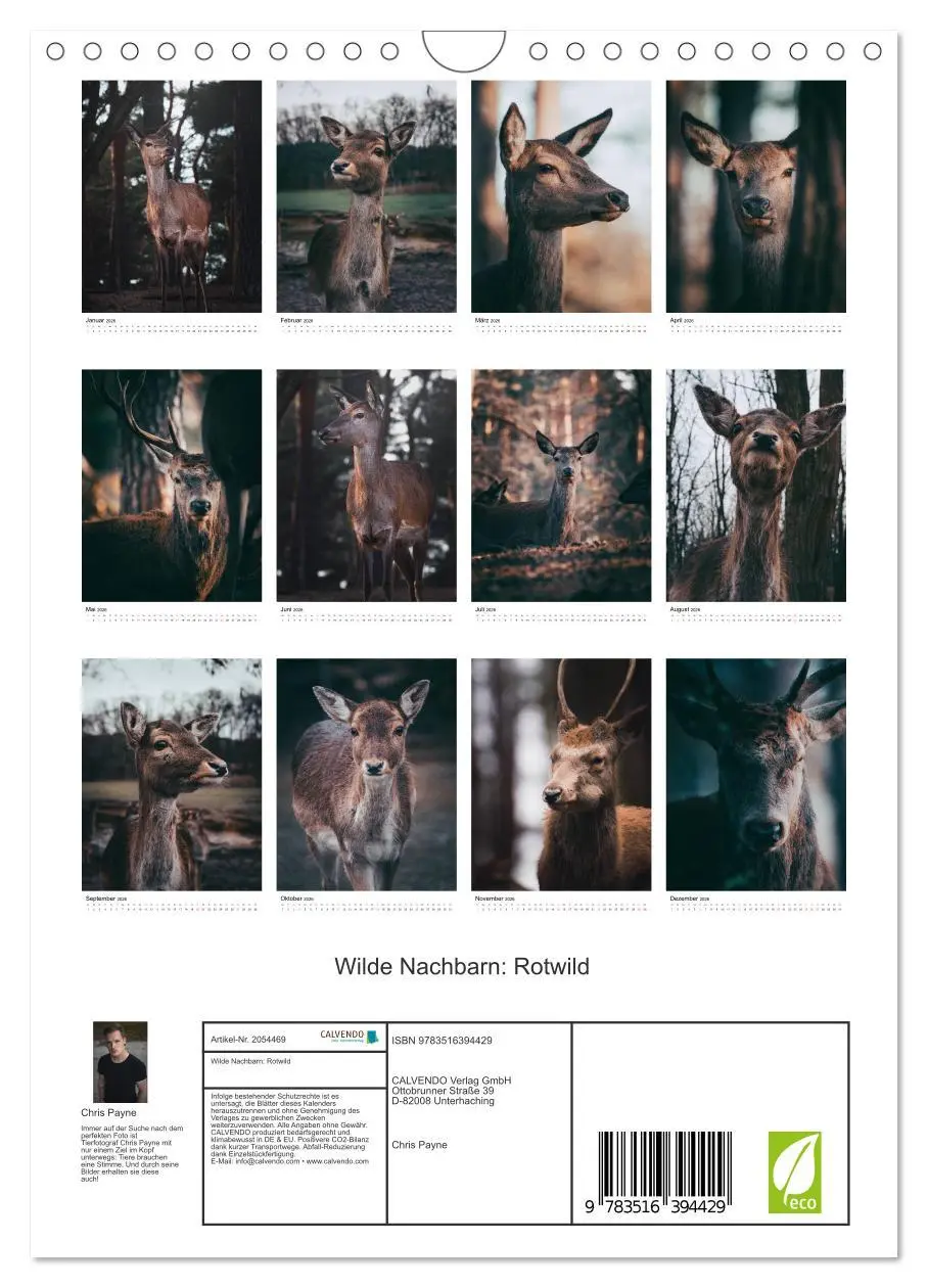 Bild: 9783516394429 | Wilde Nachbarn: Rotwild (Wandkalender 2026 DIN A4 hoch), CALVENDO...