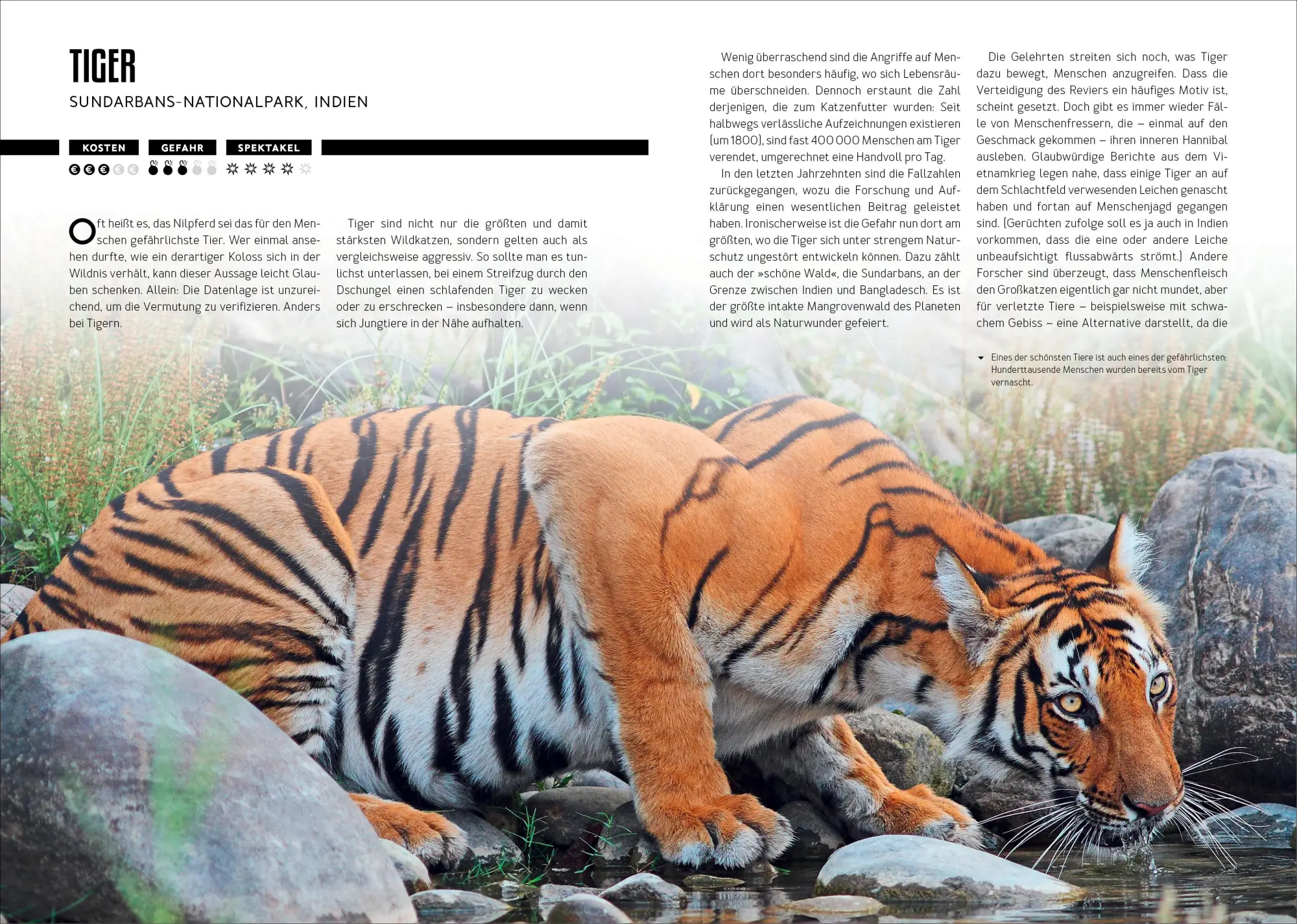 Bild: 9783734334429 | How to Kill Yourself Abroad | Markus Lesweng | Taschenbuch | 192 S.