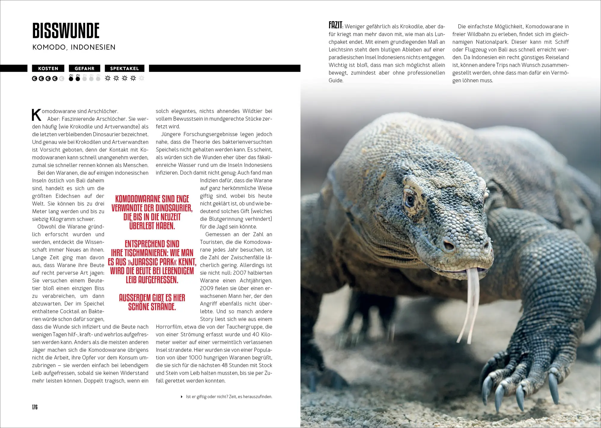 Bild: 9783734334429 | How to Kill Yourself Abroad | Markus Lesweng | Taschenbuch | 192 S.