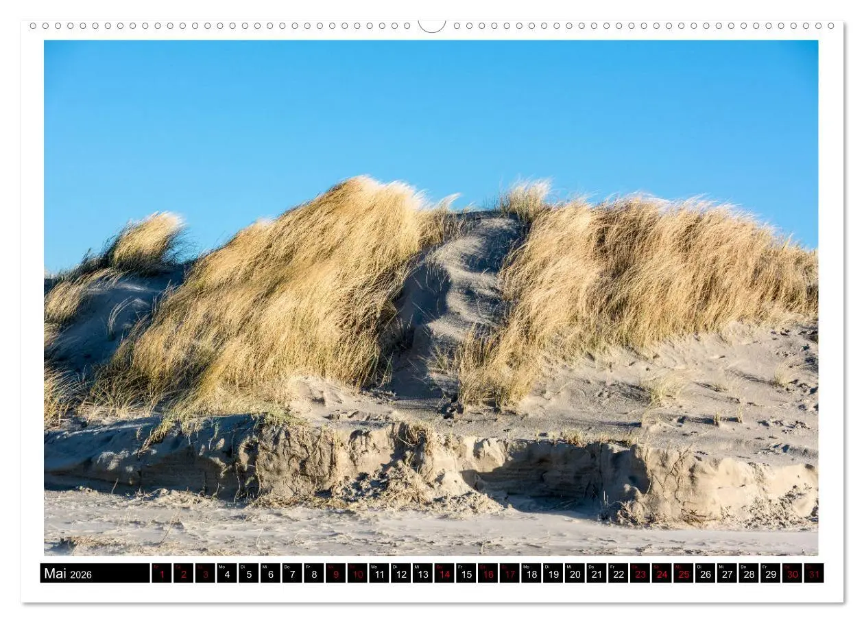 Bild: 9783457744529 | St. Peter-Ording - Natur pur (hochwertiger Premium Wandkalender...