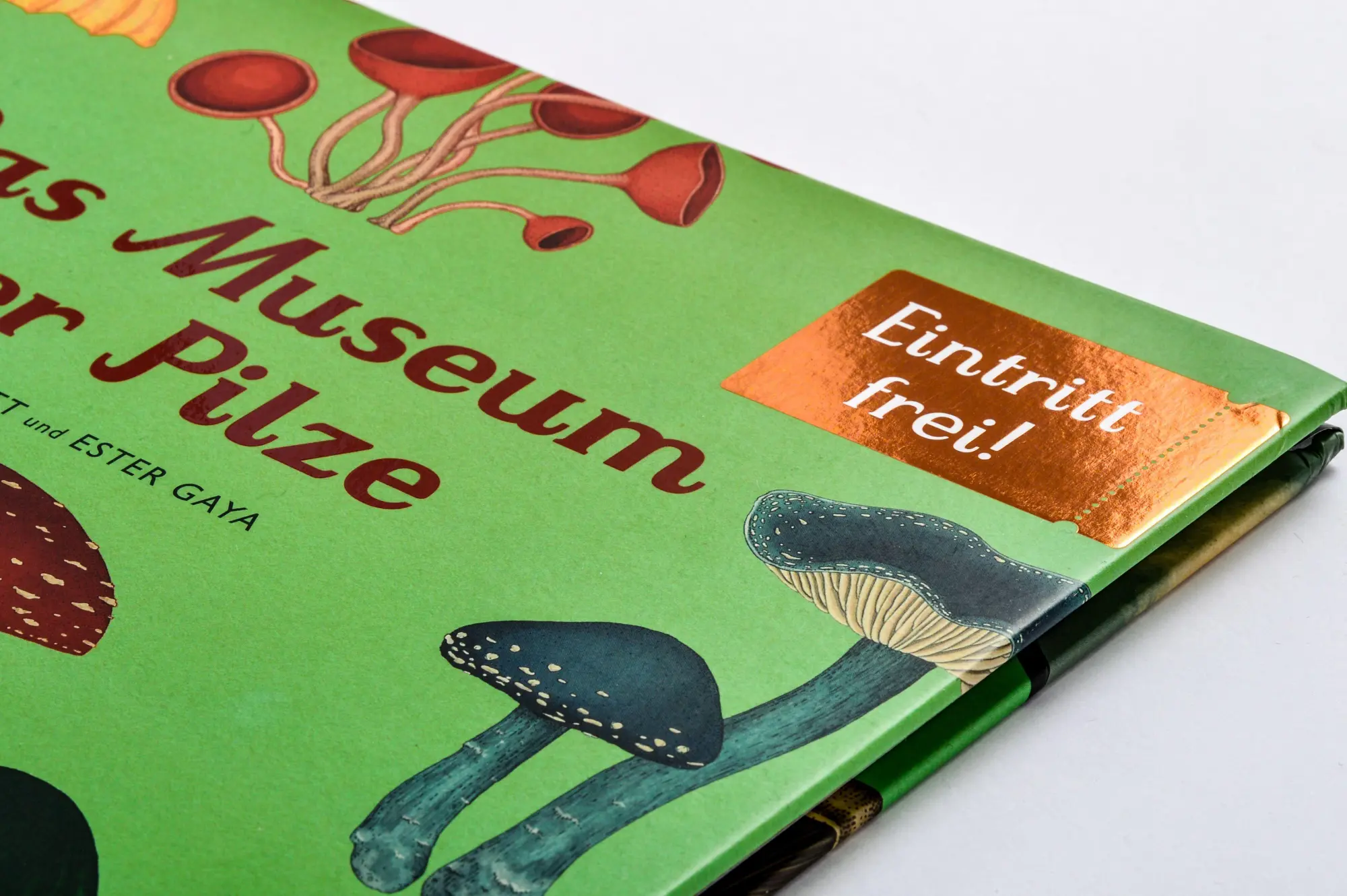 Bild: 9783791374529 | Das Museum der Pilze | Ester Gaya (u. a.) | Buch | Eintritt frei!