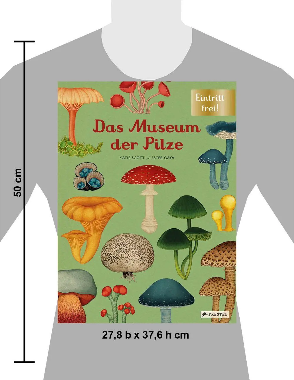Bild: 9783791374529 | Das Museum der Pilze | Ester Gaya (u. a.) | Buch | Eintritt frei!