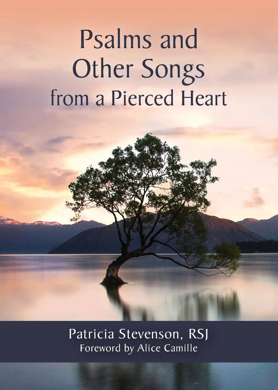 Cover: 9780814664629 | Psalms and Other Songs from a Pierced Heart | Patricia Stevenson