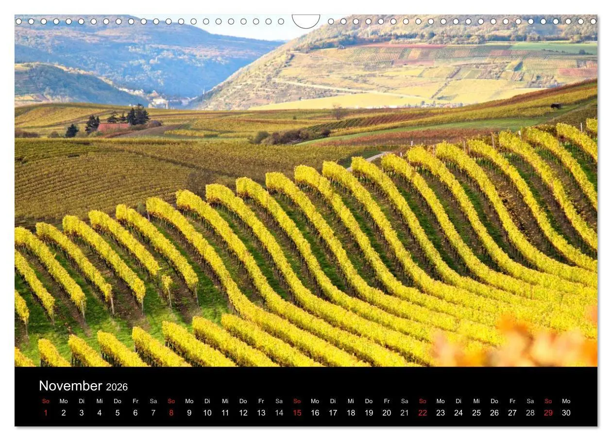 Bild: 9783457974629 | Himmel über Rheinhessen (Wandkalender 2026 DIN A3 quer), CALVENDO...