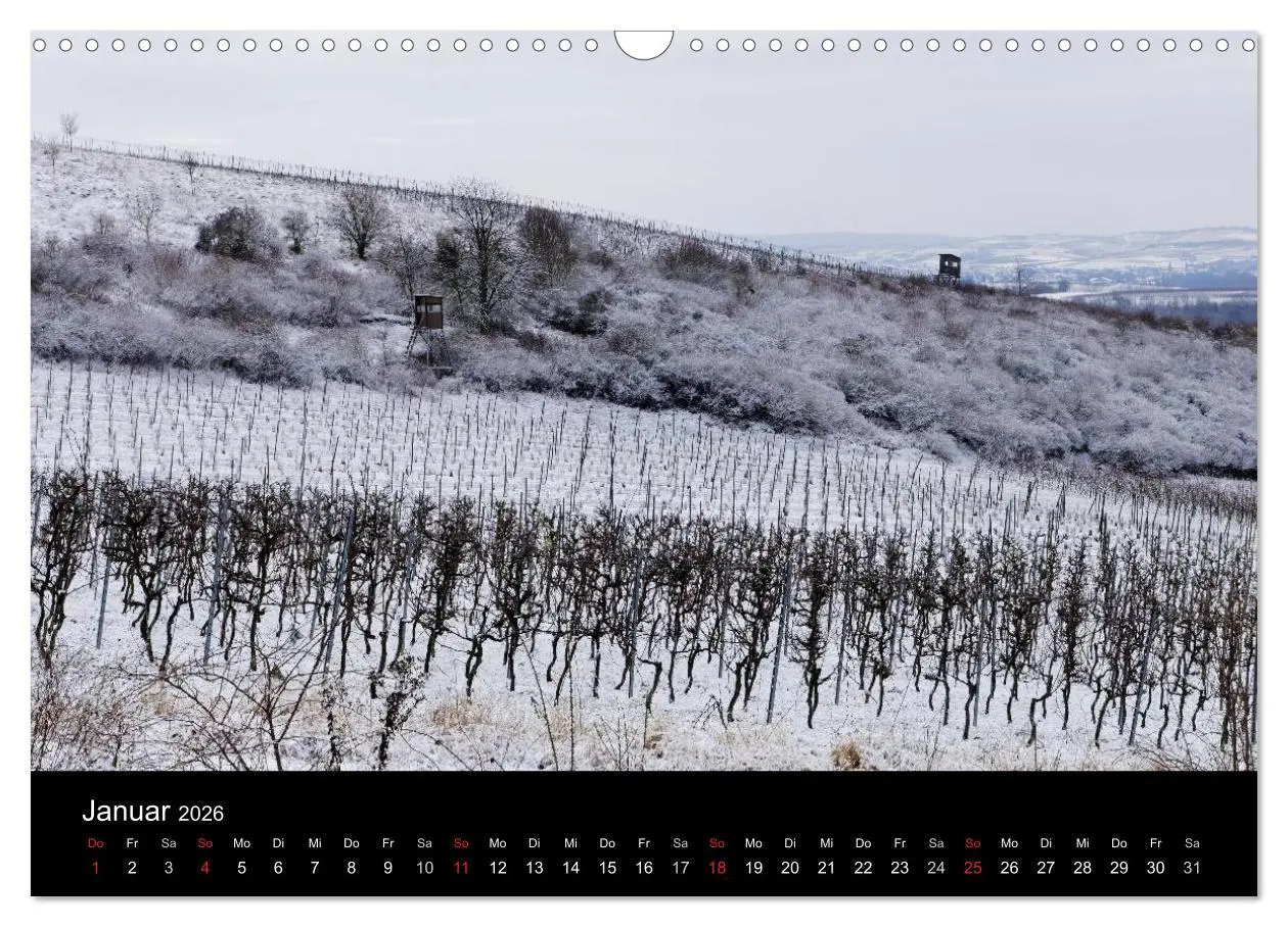 Bild: 9783457974629 | Himmel über Rheinhessen (Wandkalender 2026 DIN A3 quer), CALVENDO...