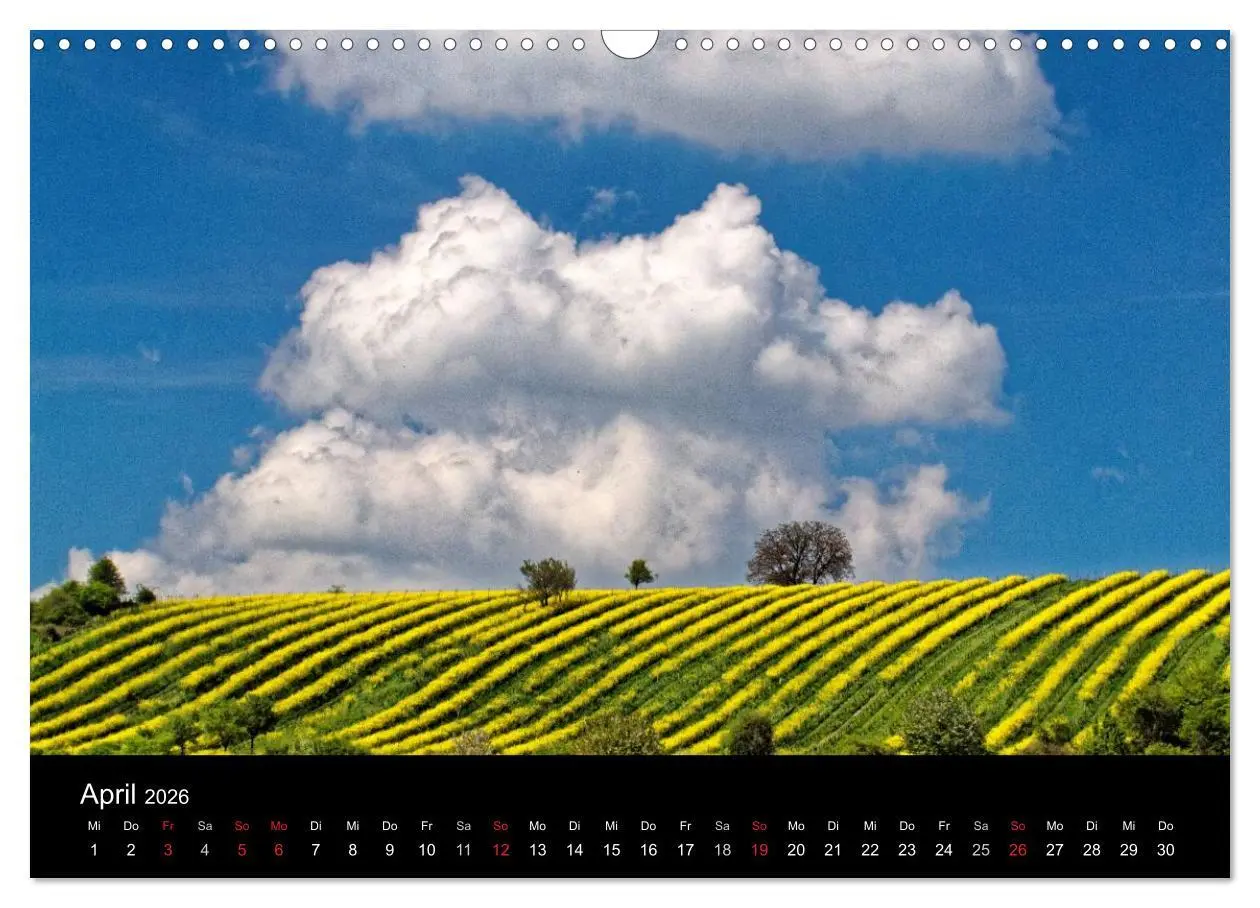 Bild: 9783457974629 | Himmel über Rheinhessen (Wandkalender 2026 DIN A3 quer), CALVENDO...