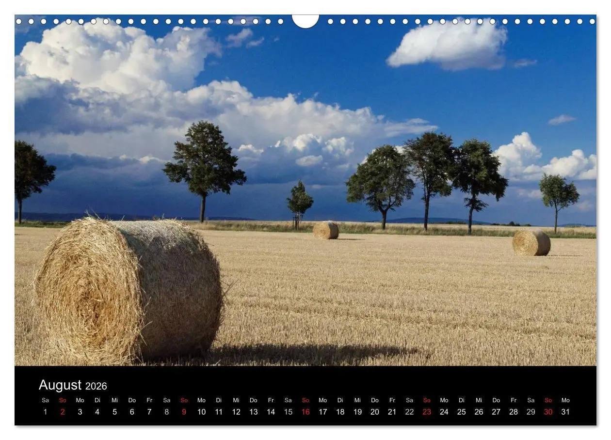 Bild: 9783457974629 | Himmel über Rheinhessen (Wandkalender 2026 DIN A3 quer), CALVENDO...