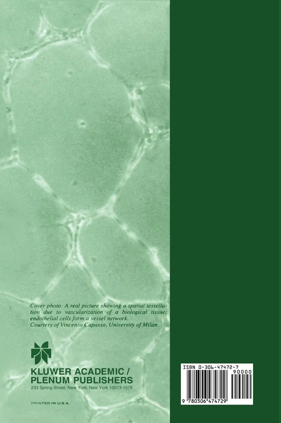 Rückseite: 9780306474729 | Determinism, Holism, and Complexity | Claudio Pellegrini (u. a.)