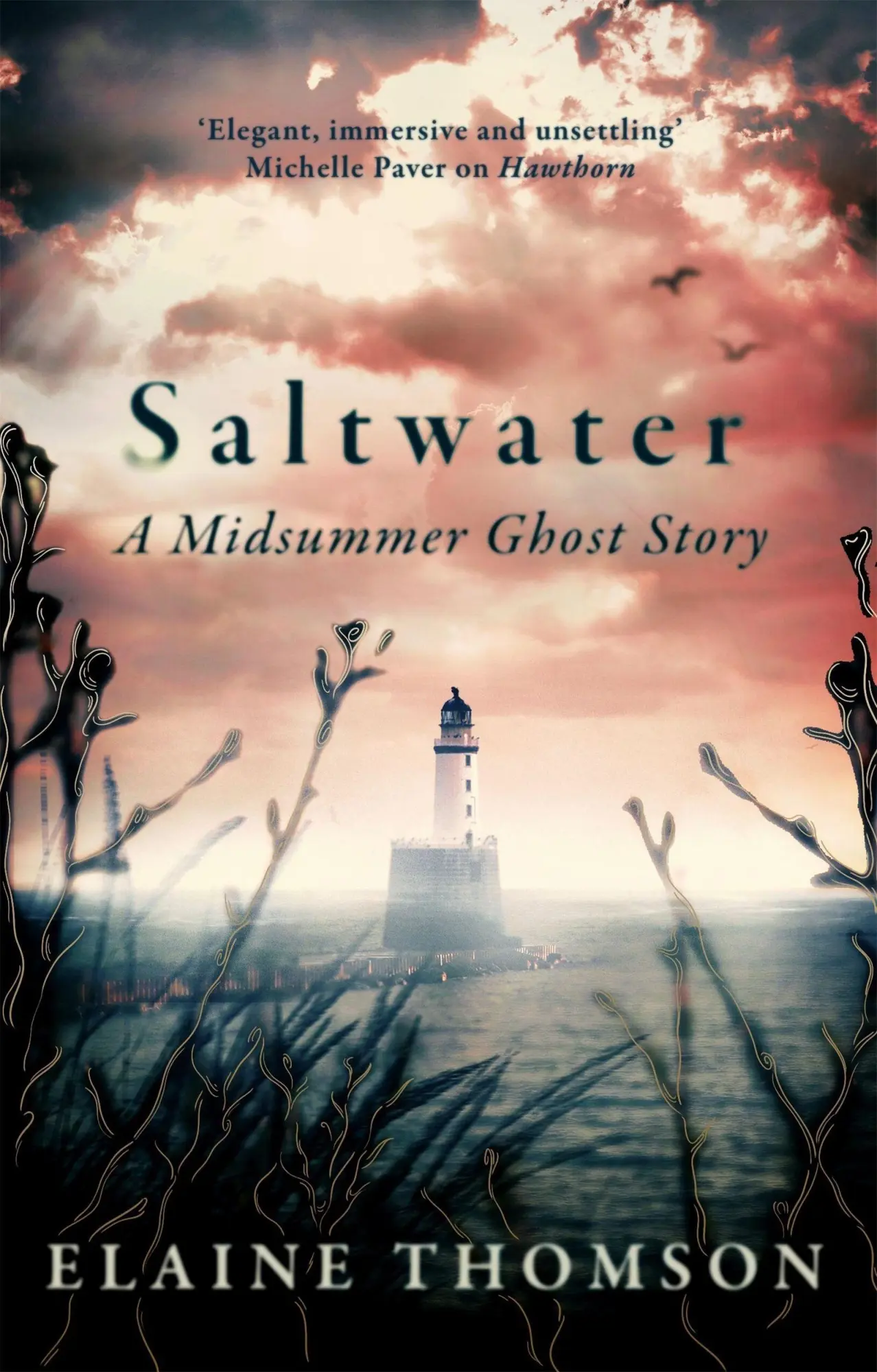 Saltwater - Neuware