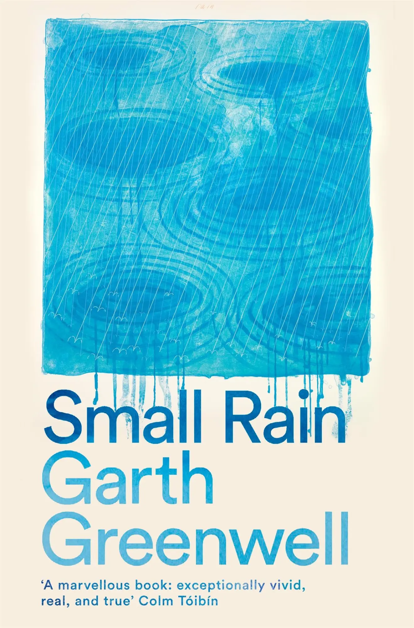 Cover: 9781509874729 | Small Rain | Garth Greenwell | Taschenbuch | 320 S. | Englisch | 2025