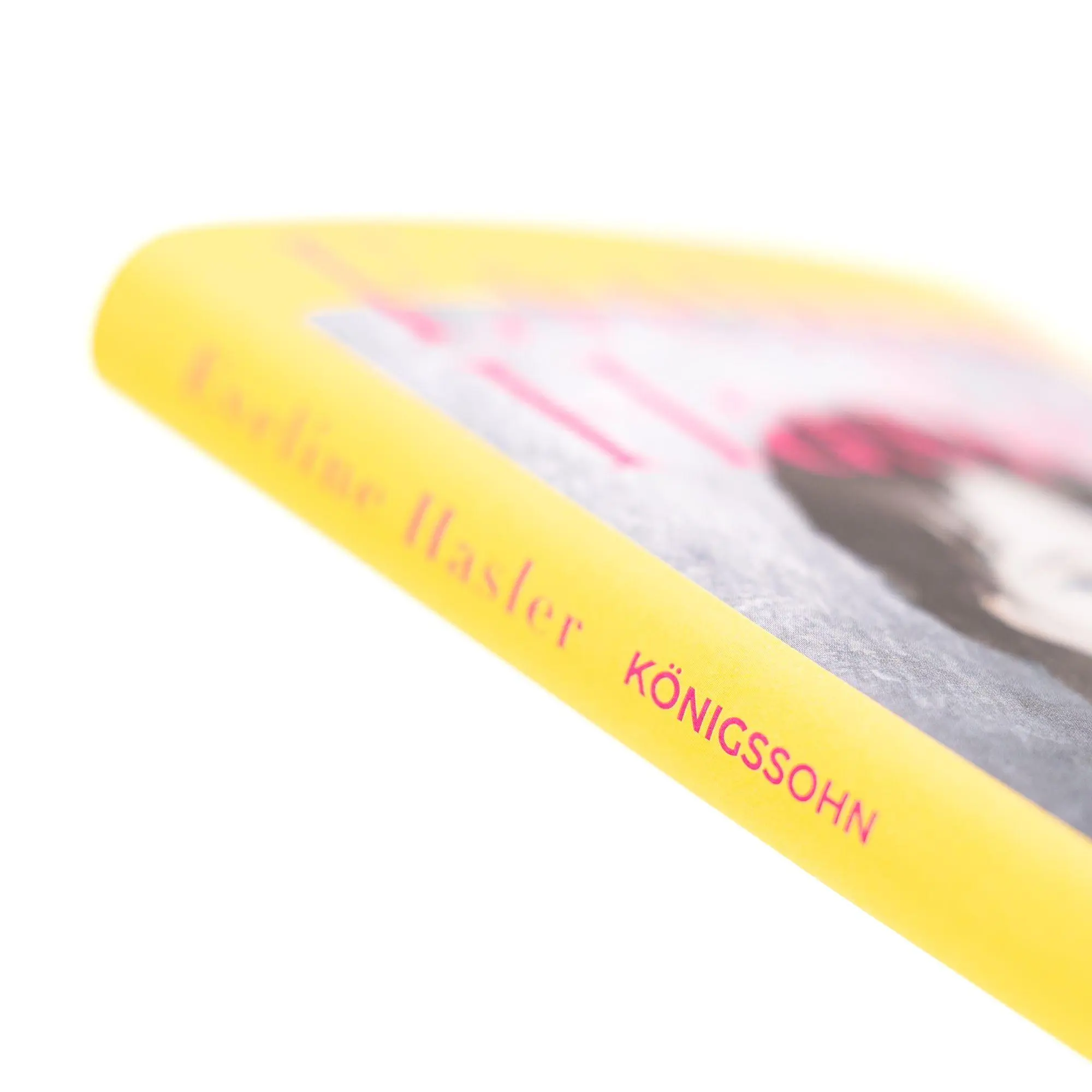 Bild: 9783312014729 | Königssohn | Eveline Hasler | Buch | 176 S. | Deutsch | 2026