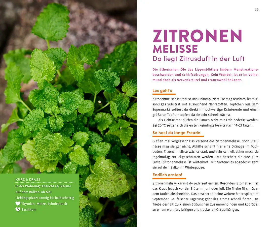 Bild: 9783818624729 | Krasse Kräuter | Sabrina Sue Daniels | Taschenbuch | 96 S. | Deutsch