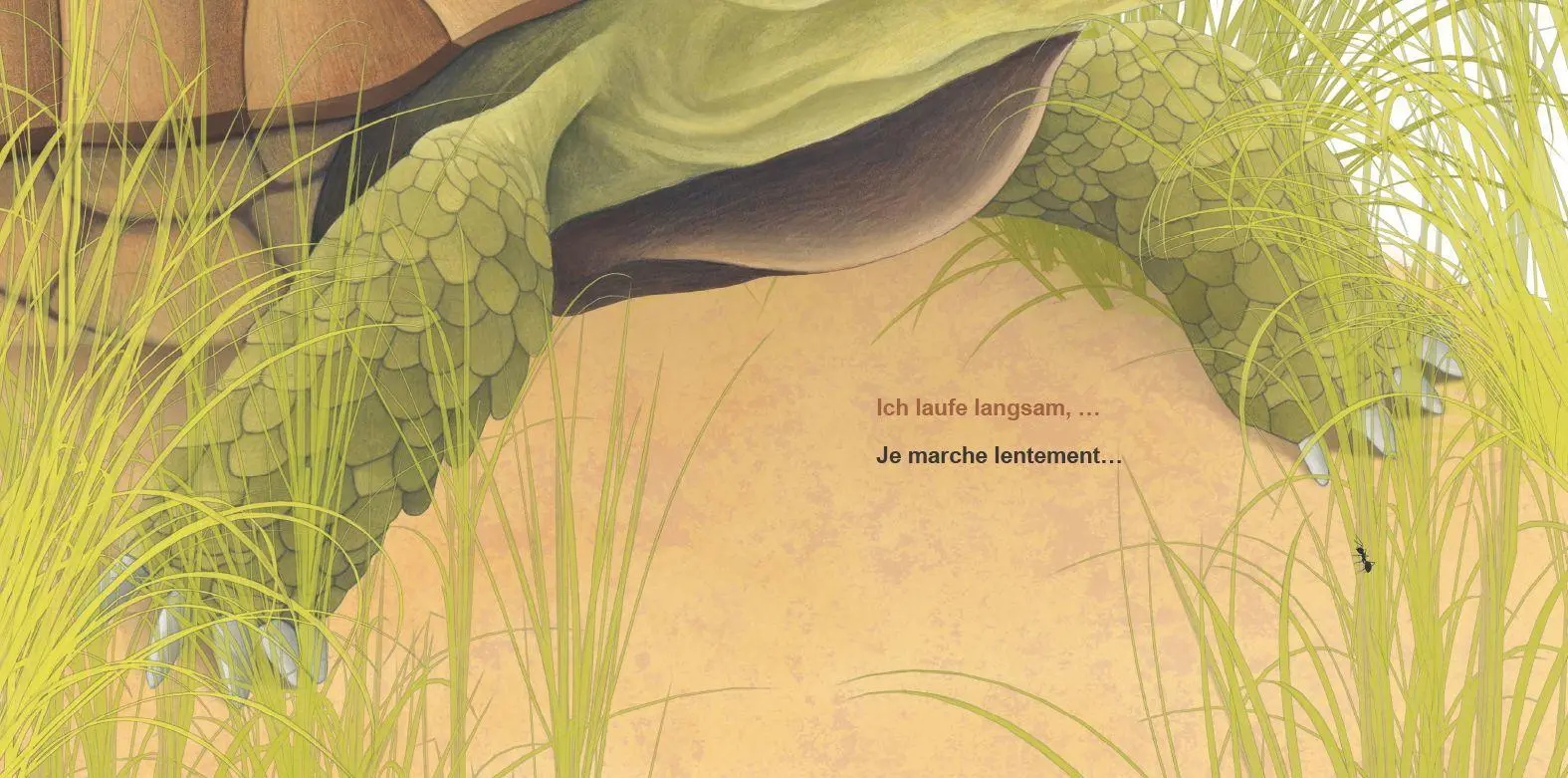 Bild: 9783695004829 | Sehr, sehr langsam! (Deutsch-Französisch) | Maddalena Schiavo | Buch