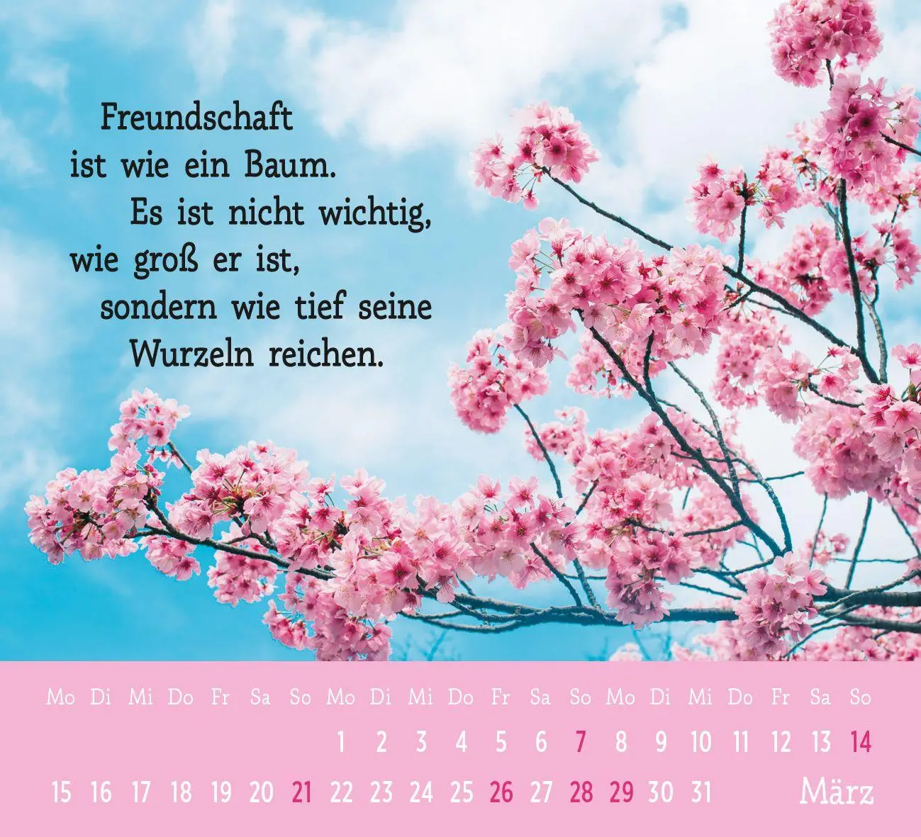 Bild: 4036442014929 | Mini-Kalender 2027: Der kleine Freundschaftskalender | Groh Verlag