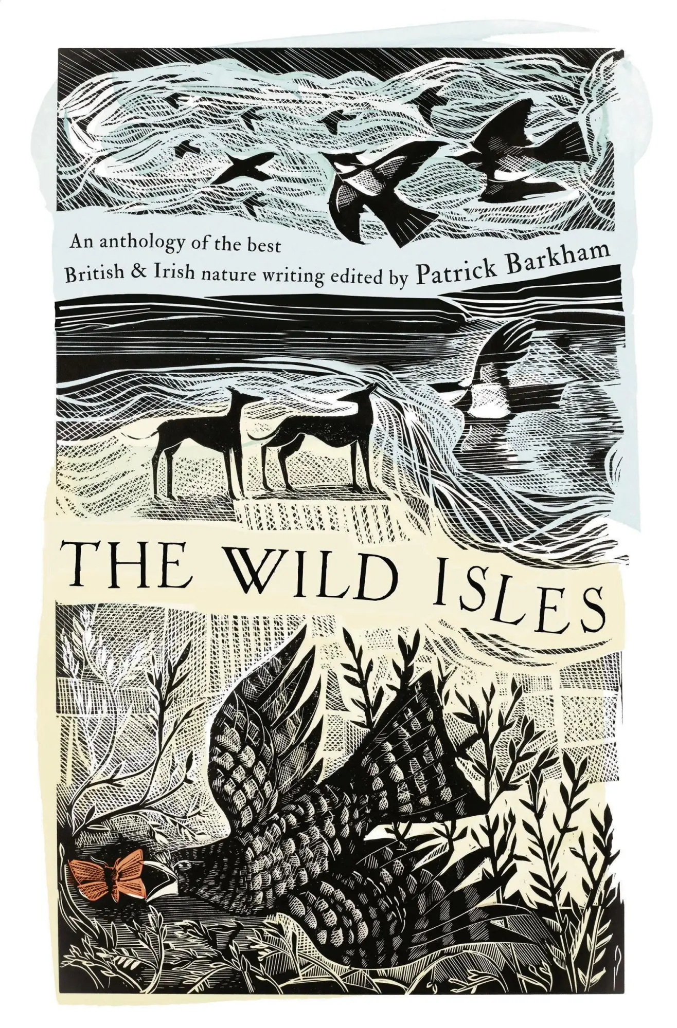 Cover: 9781035924929 | The Wild Isles | Patrick Barkham | Taschenbuch | Englisch | 2025