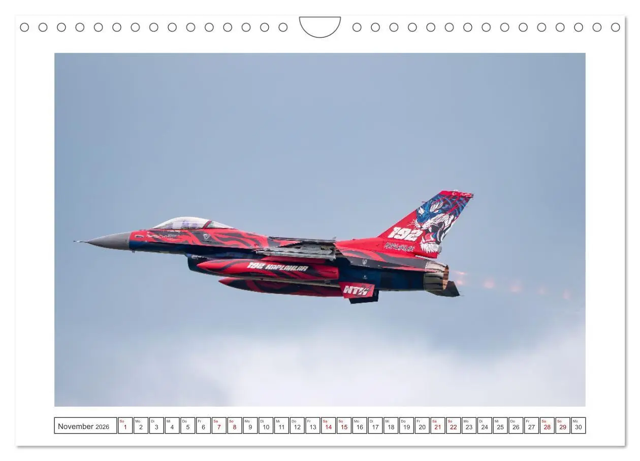 Bild: 9783457324929 | Tiger Meet Schleswig (Wandkalender 2026 DIN A4 quer), CALVENDO...