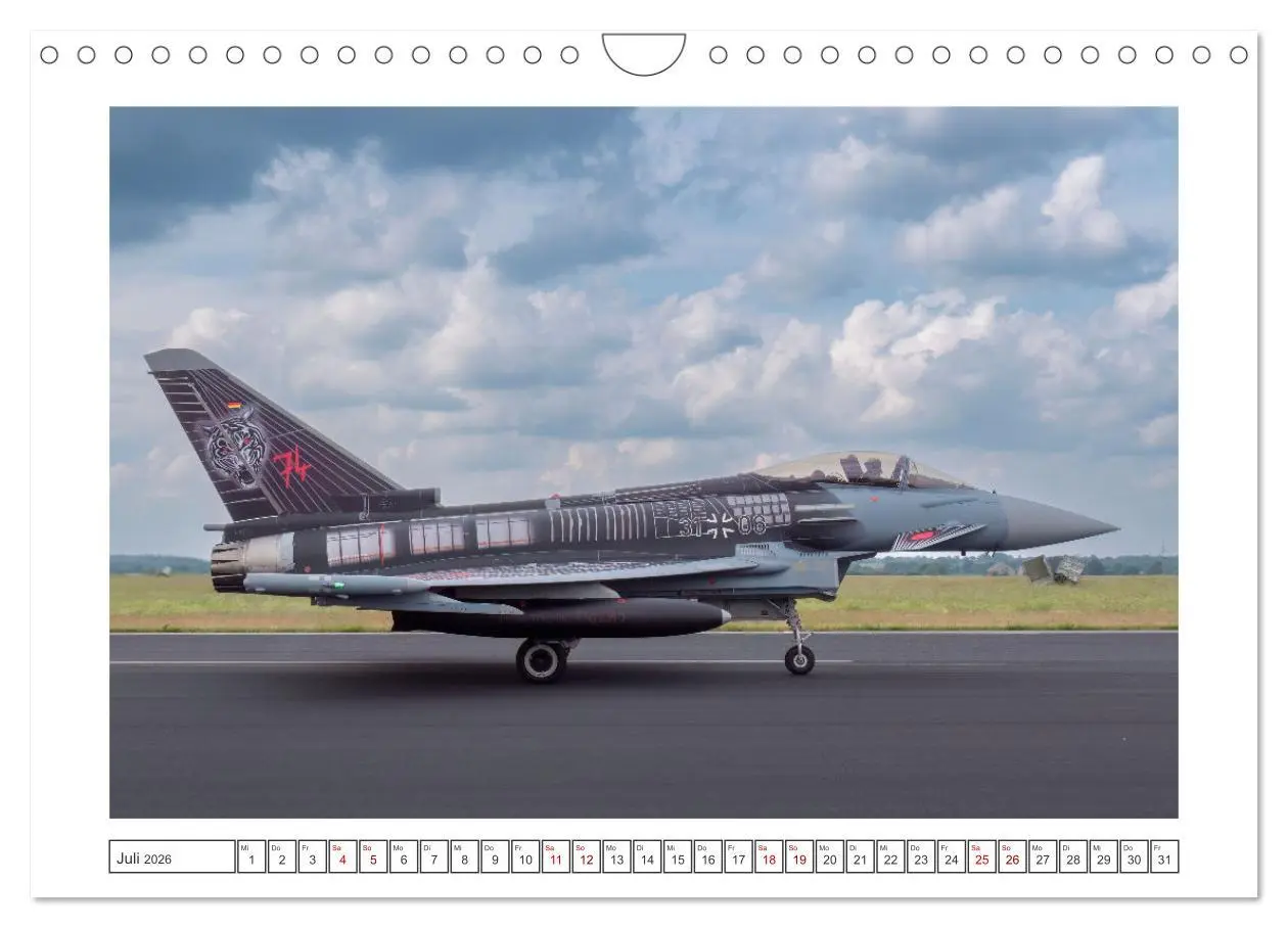 Bild: 9783457324929 | Tiger Meet Schleswig (Wandkalender 2026 DIN A4 quer), CALVENDO...