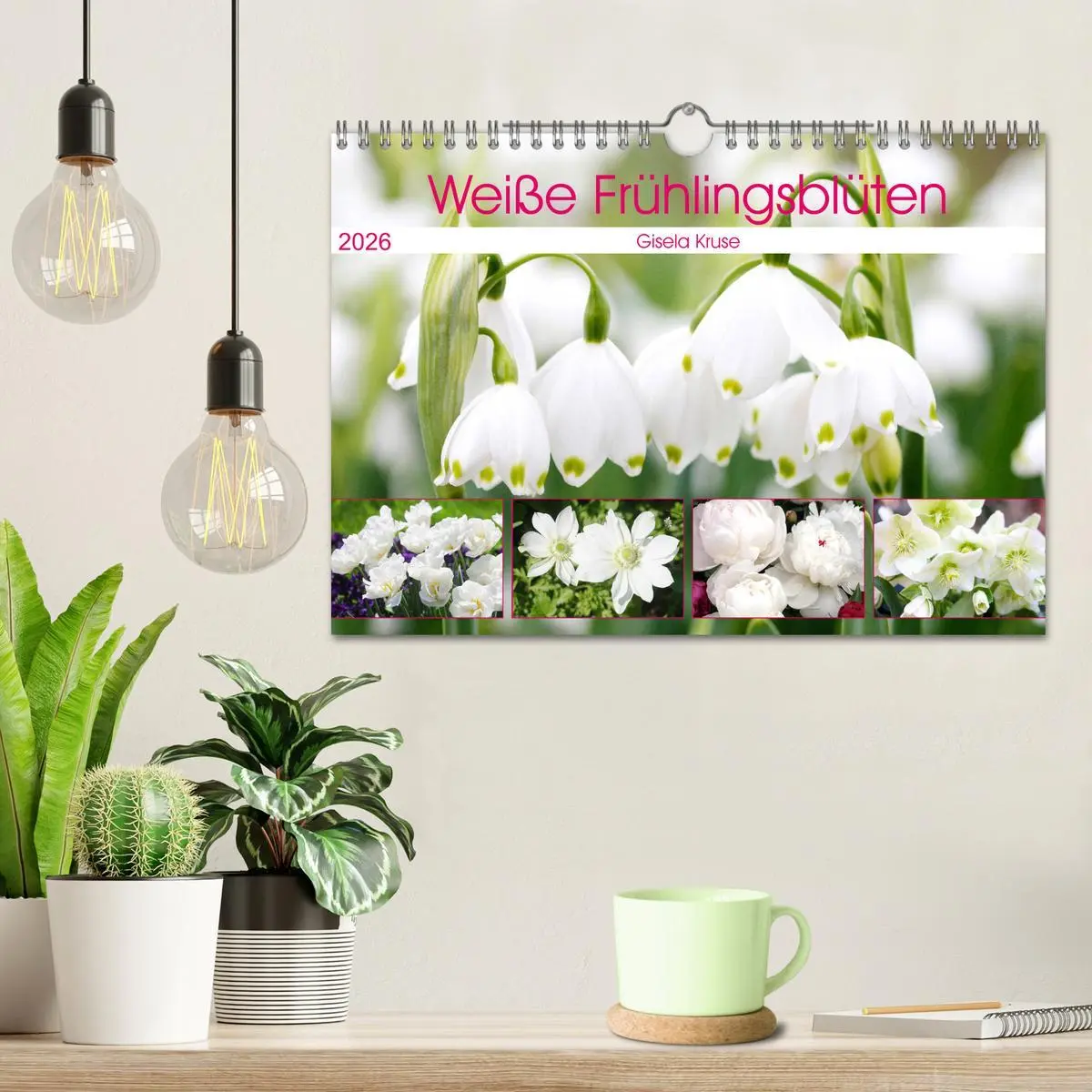Bild: 9783457704929 | Weiße Frühlingsblüten (Wandkalender 2026 DIN A4 quer), CALVENDO...