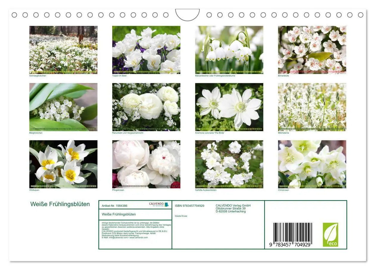 Bild: 9783457704929 | Weiße Frühlingsblüten (Wandkalender 2026 DIN A4 quer), CALVENDO...