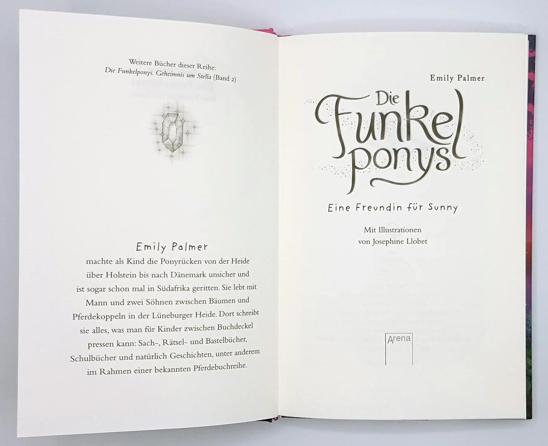 Bild: 9783401605029 | Die Funkelponys (1). Eine Freundin für Sunny | Emily Palmer | Buch