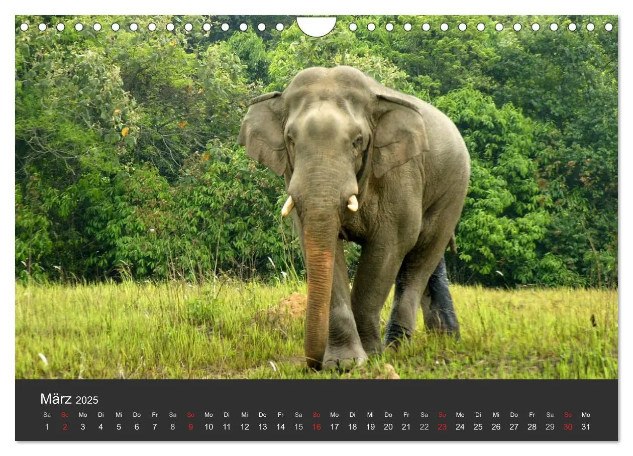 Bild: 9783435665129 | Thailand - exotisch und faszinierend (Wandkalender 2025 DIN A4...
