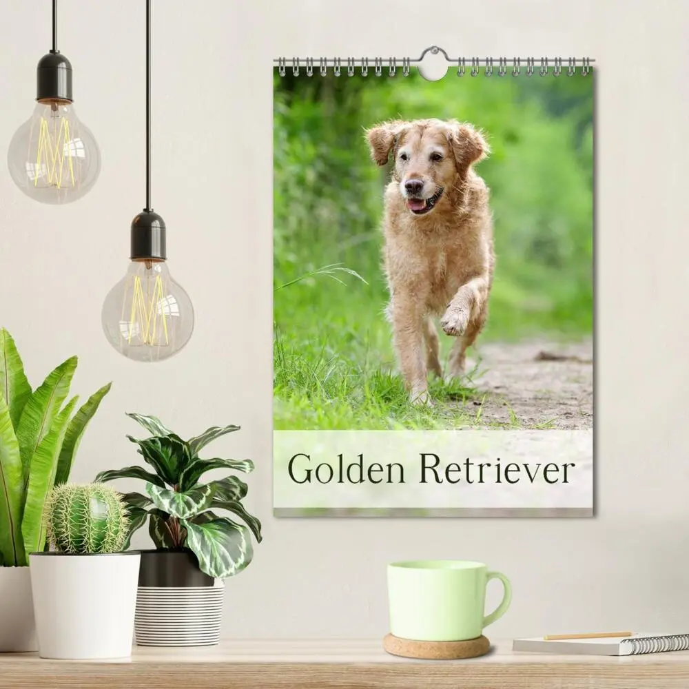 Bild: 9783457065129 | Golden Retriever (Wandkalender 2025 DIN A4 hoch), CALVENDO...