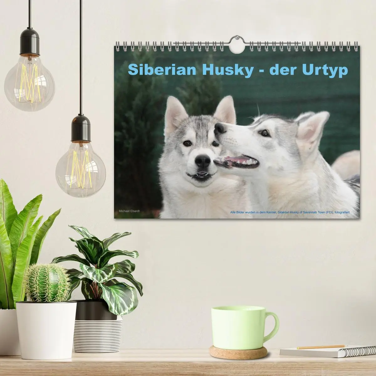 Bild: 9783516155129 | Siberian Husky - der Urtyp (Wandkalender 2026 DIN A4 quer),...