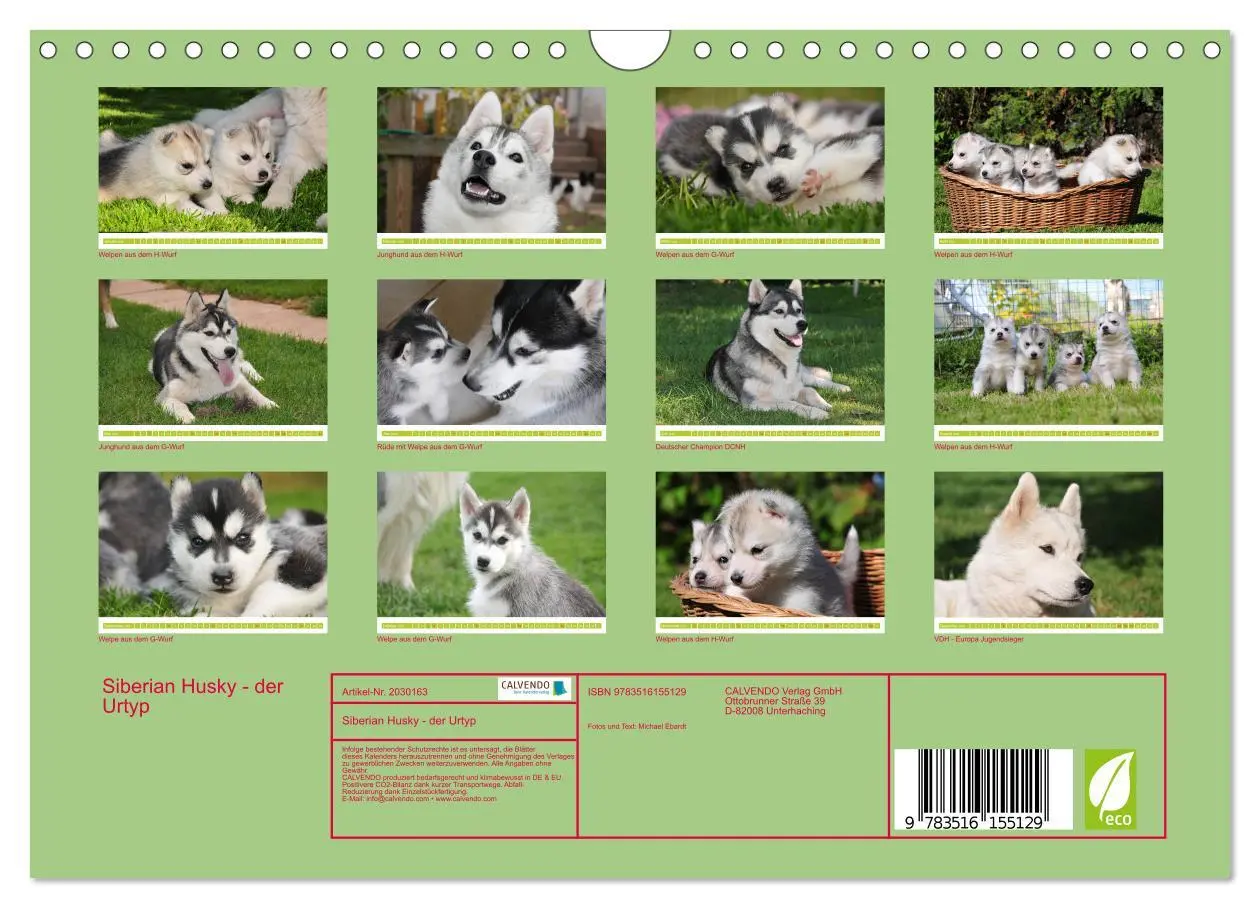 Bild: 9783516155129 | Siberian Husky - der Urtyp (Wandkalender 2026 DIN A4 quer),...
