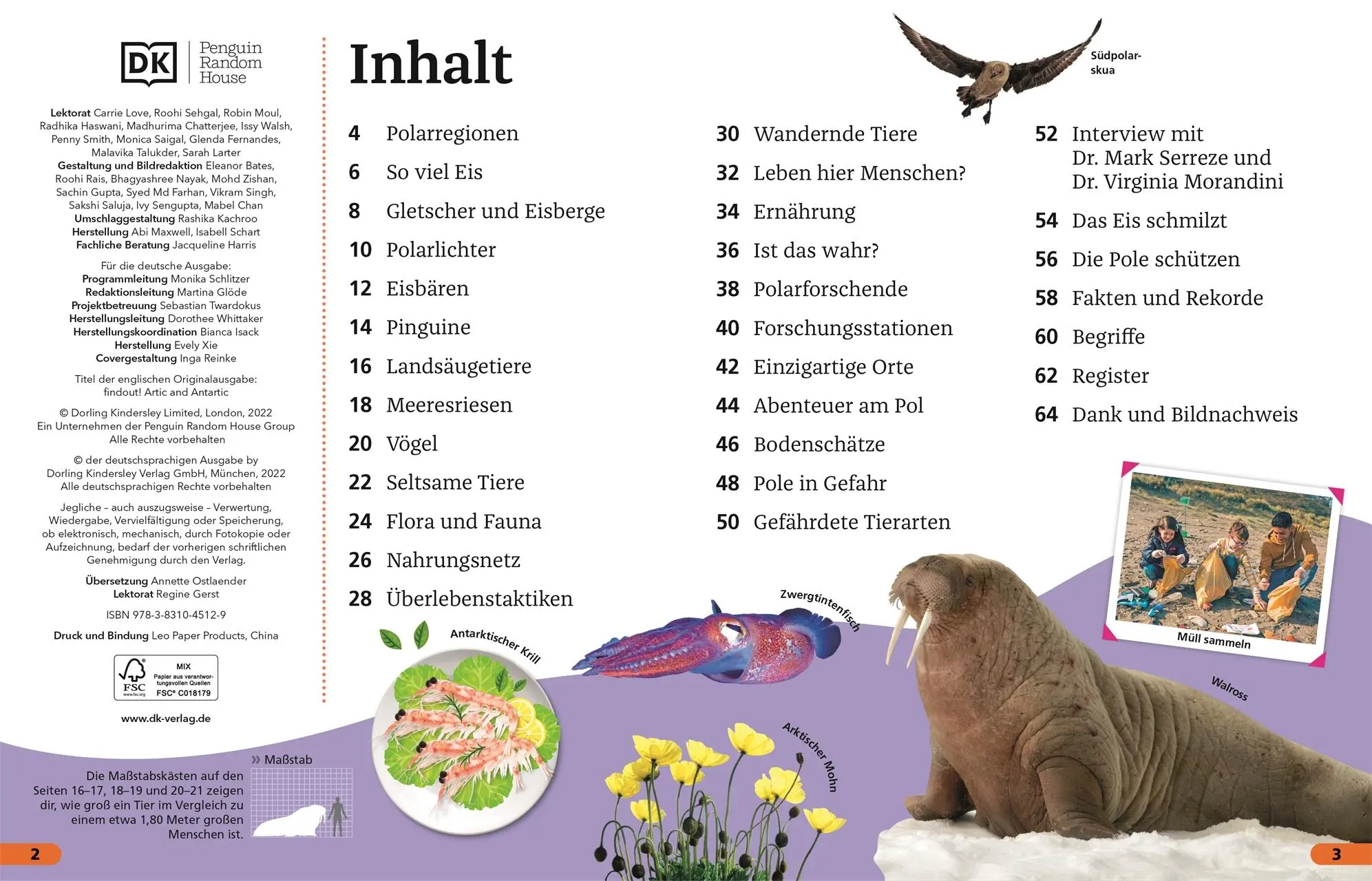 Bild: 9783831045129 | Superchecker! Arktis und Antarktis | Anita Ganeri | Taschenbuch | 2022