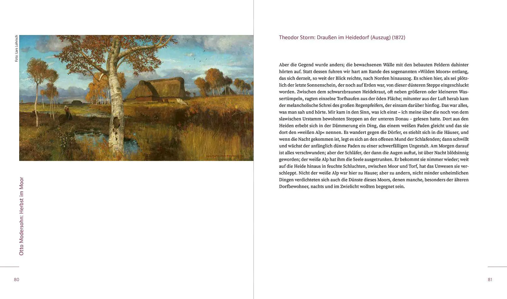 Bild: 9783987265129 | Moorgeflüster | Ein lyrischer Bildband | Joana van de Löcht (u. a.)