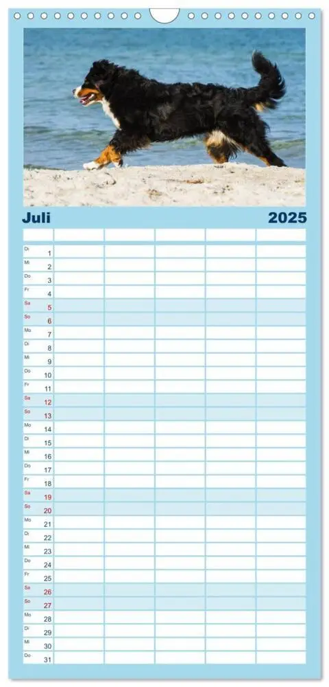 Bild: 9783457125229 | Familienplaner 2025 - Berner Sennenhunde am Strand mit 5 Spalten...